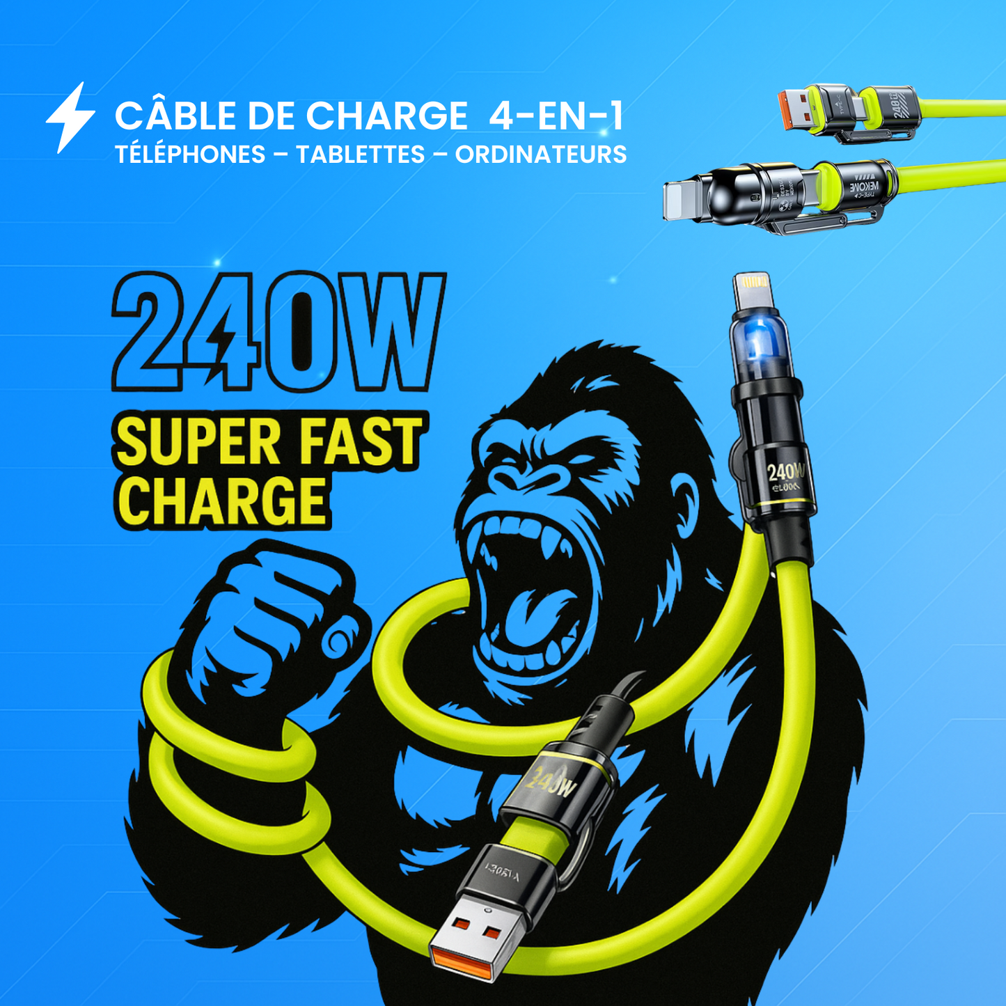 Chargeur + Câble 4-en-1