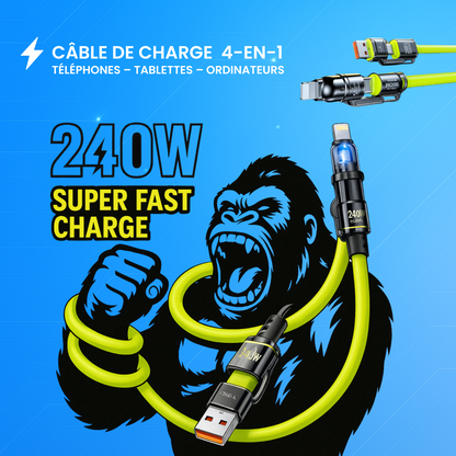 Chargeur + Câble 4-en-1
